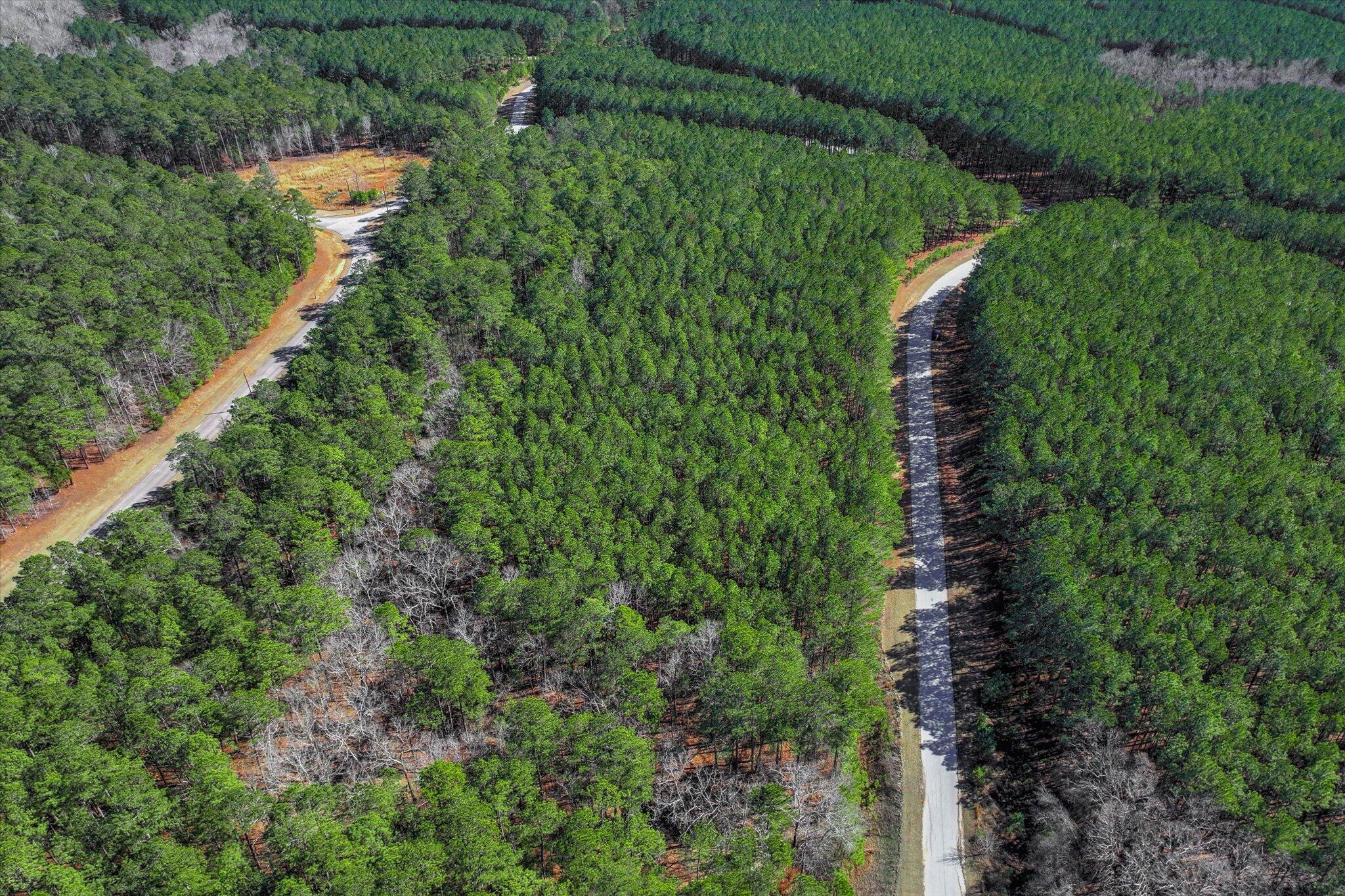 1277 Rogers Road Tignall, GA 30668 - Photo 7 of 12 07-105