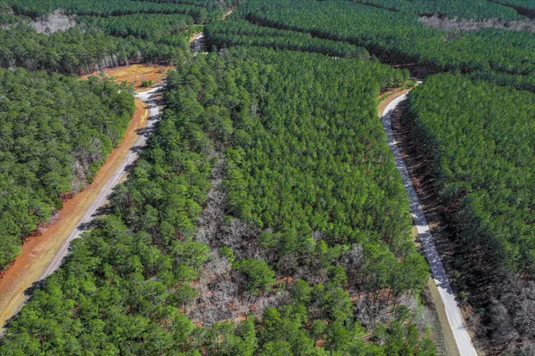 $12,000 | 1277 Rogers Road, Tignall, GA 30668