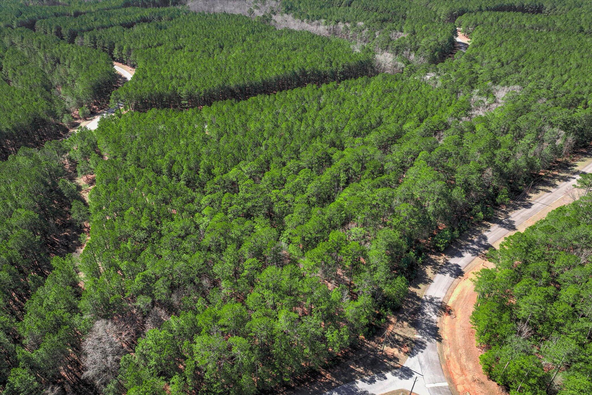 1277 Rogers Road Tignall, GA 30668 - Photo 10 of 12 10-110