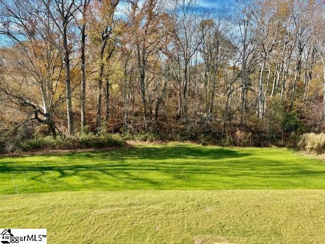 1062 Paula Parris Road, Unit PRM 39 Chesnee, SC 29323 - Photo 13 of 15