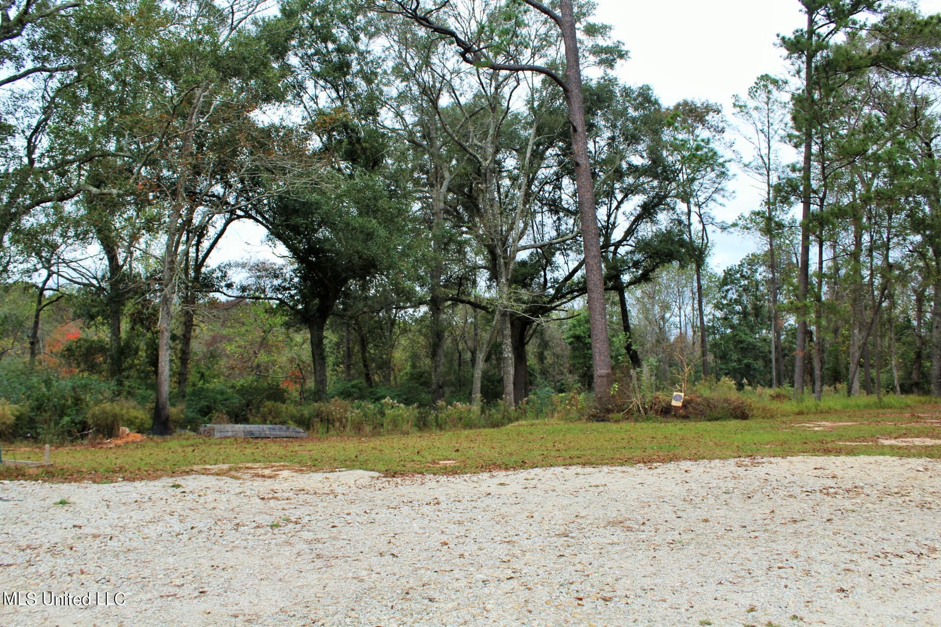 4220 Ward Pineview Road Lucedale, MS 39452 - Photo 26 of 31 26-Land