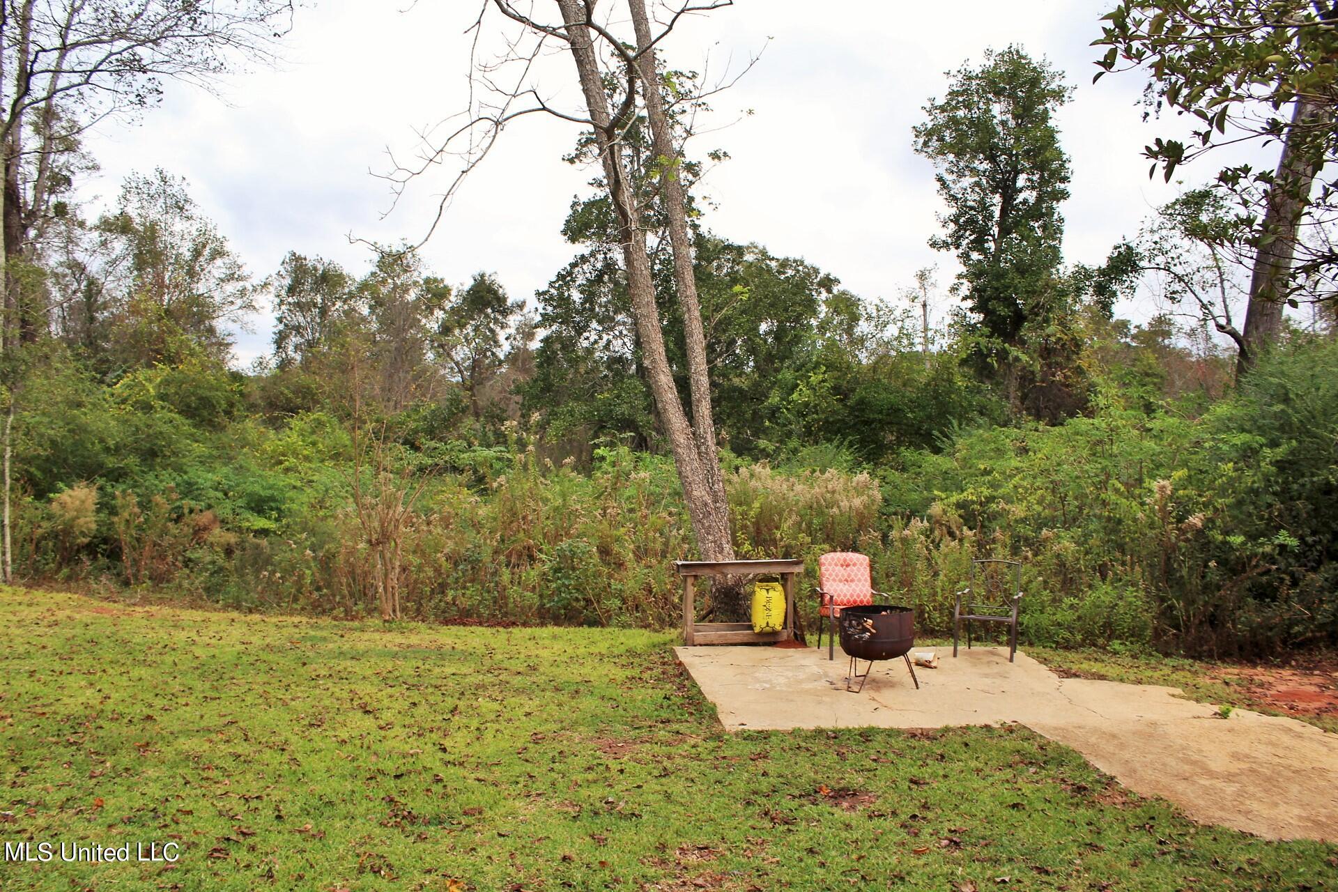 4220 Ward Pineview Road Lucedale, MS 39452 - Photo 27 of 31 27-Land