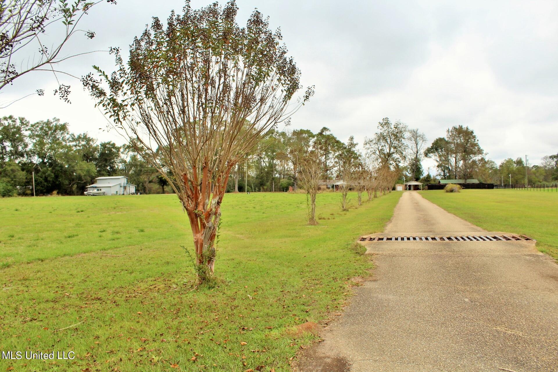 4220 Ward Pineview Road Lucedale, MS 39452 - Photo 28 of 31 28-Land