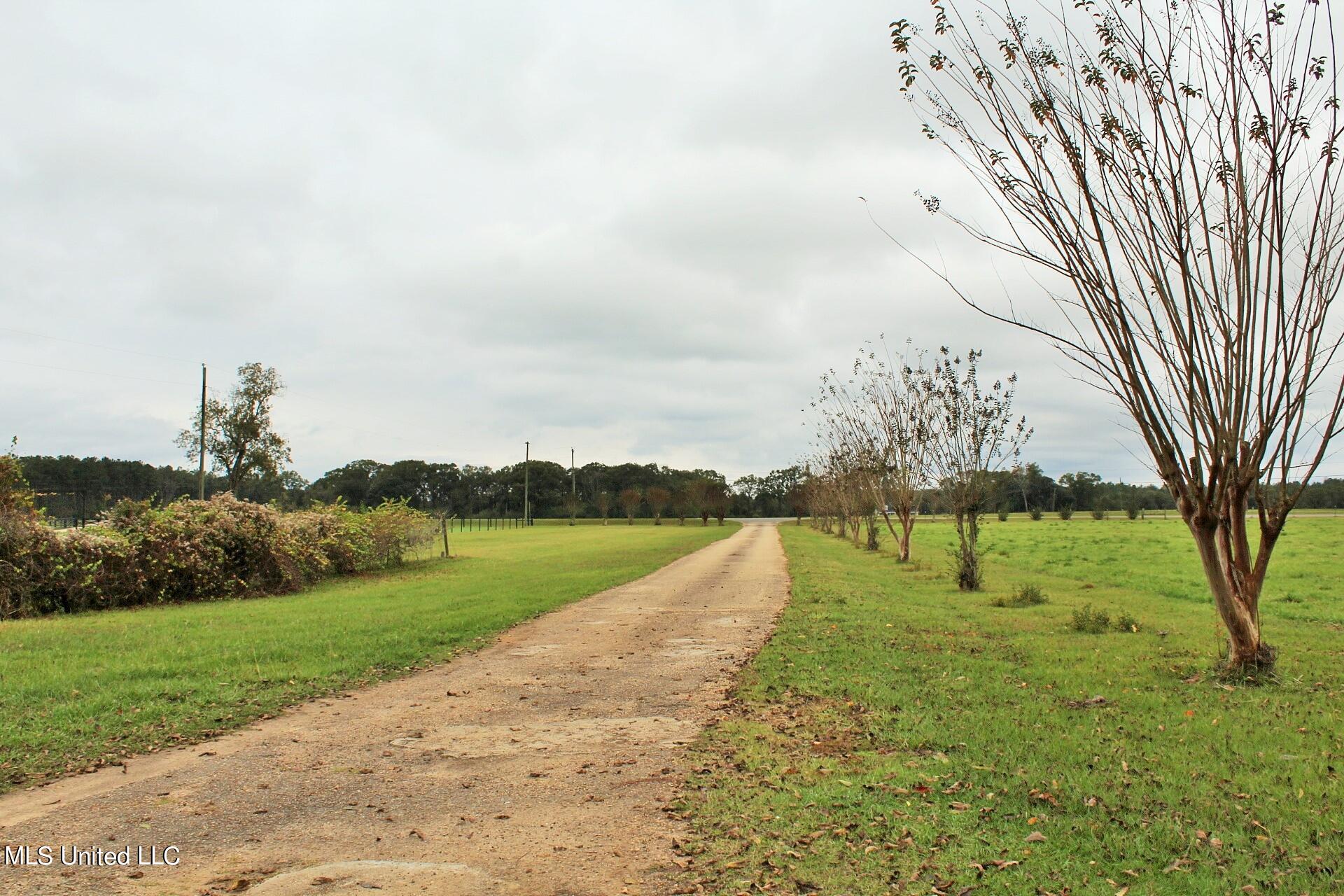 4220 Ward Pineview Road Lucedale, MS 39452 - Photo 29 of 31 29-Land