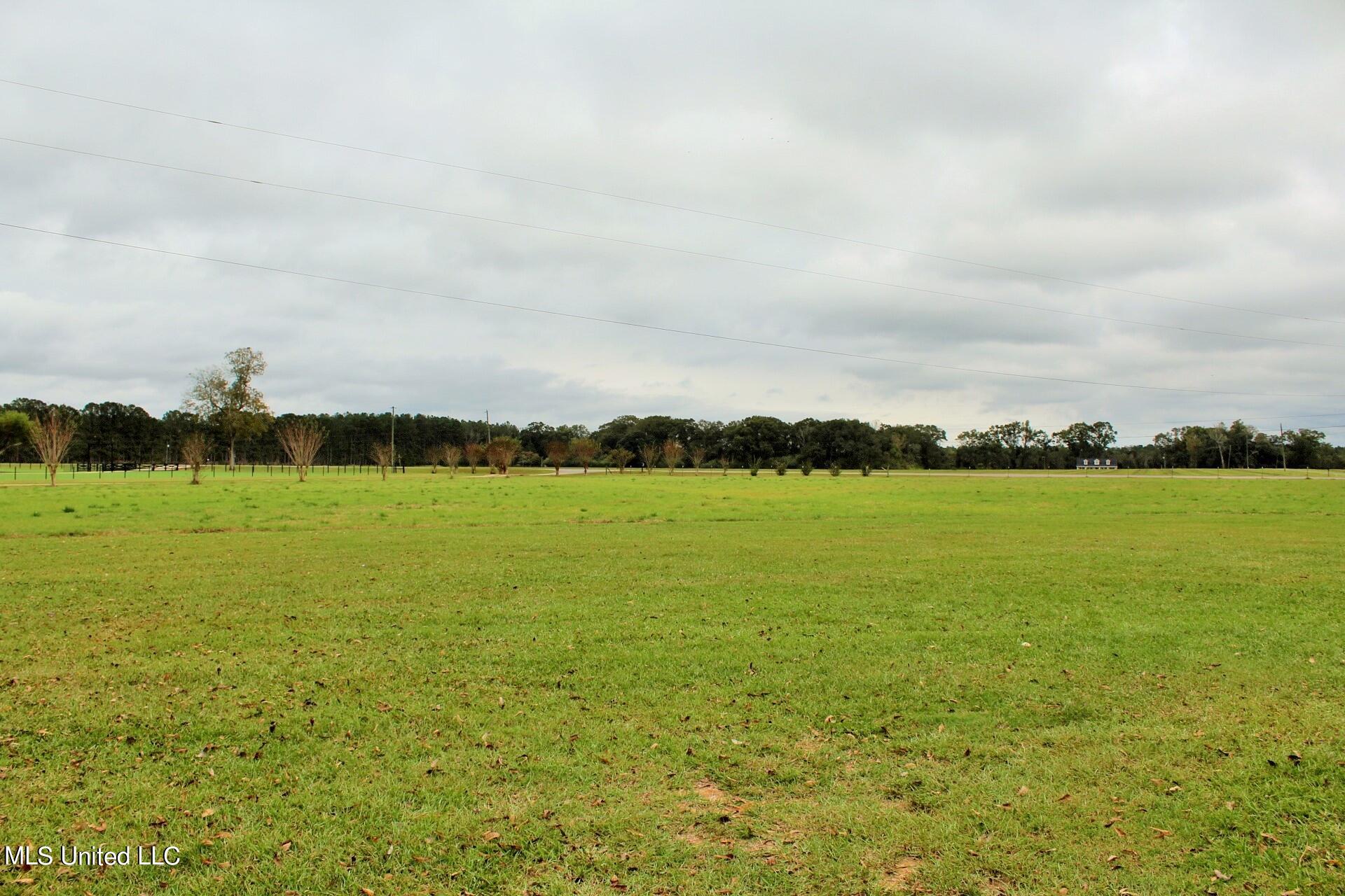 4220 Ward Pineview Road Lucedale, MS 39452 - Photo 30 of 31 30-Land