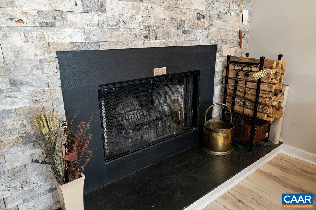 405 3 Ridges Roseland, VA 22967 - Photo 4 of 22 a living room with a fireplace and a potted plant