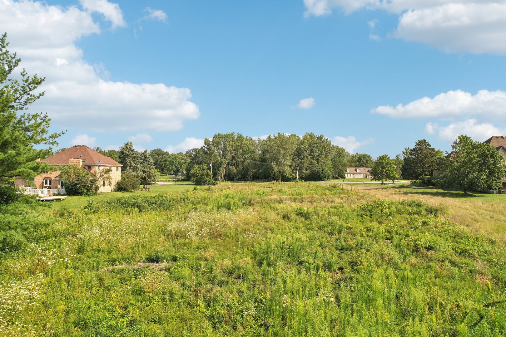 13025 West Regan Road Mokena, IL 60448 - Photo 4 of 10 a view of a green field