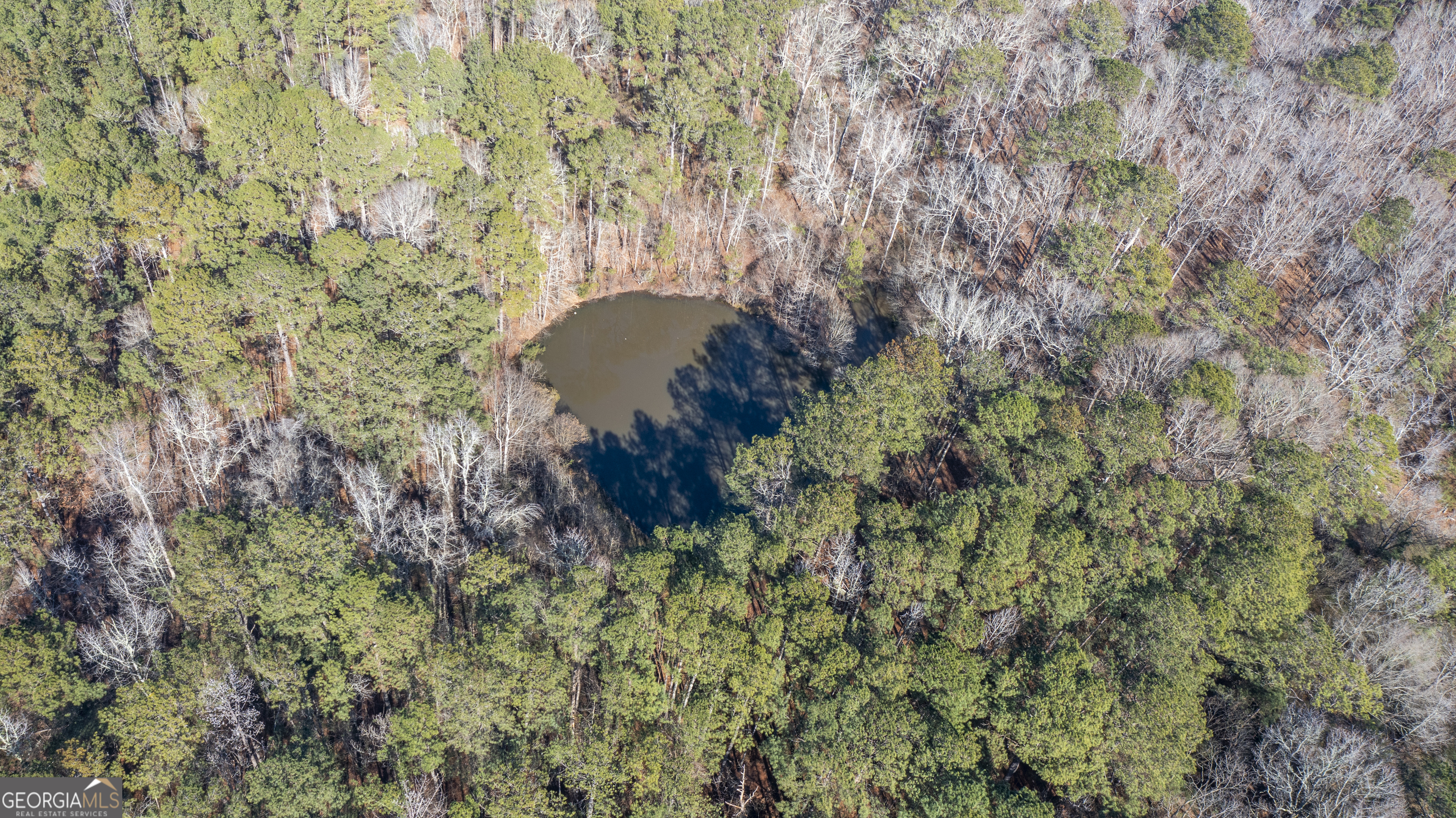 0 River Road Warm Springs, GA 31830 - Photo 11 of 21