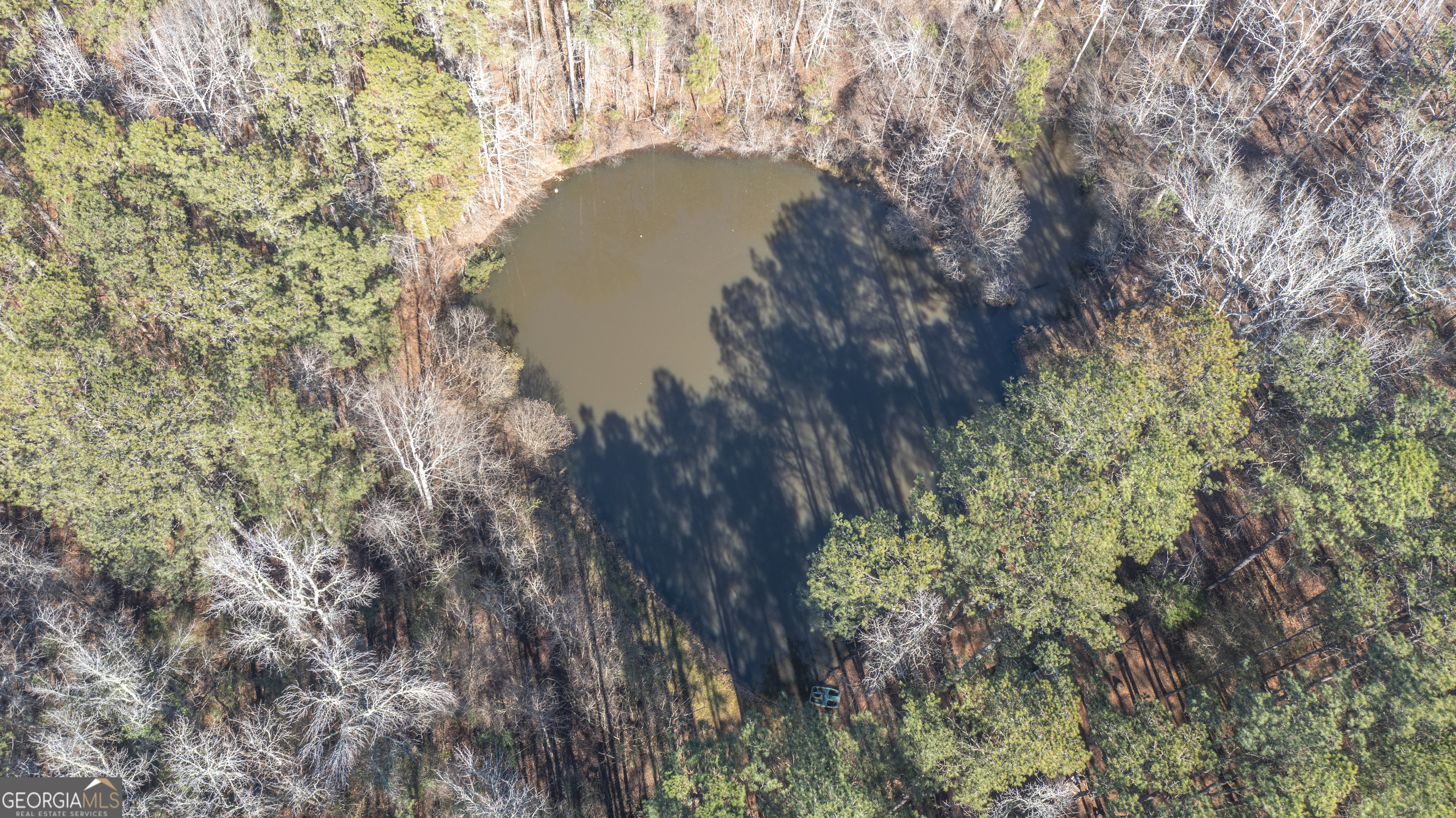 0 River Road Warm Springs, GA 31830 - Photo 12 of 21