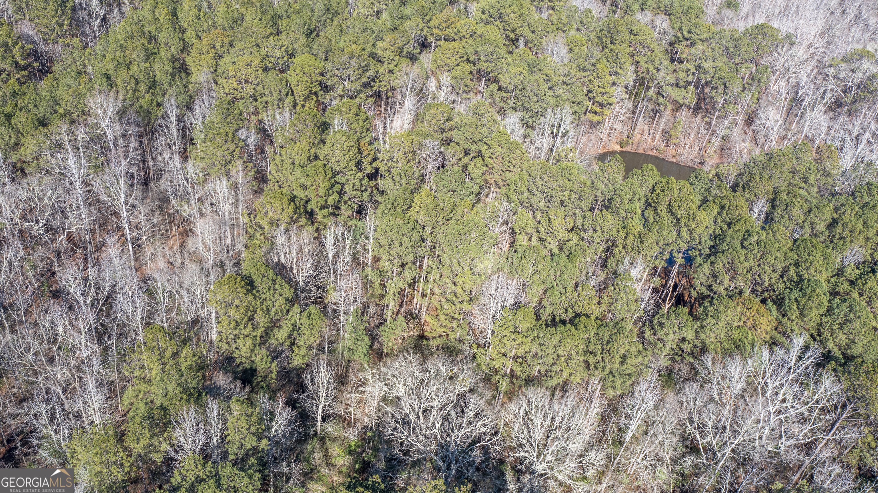 0 River Road Warm Springs, GA 31830 - Photo 16 of 21