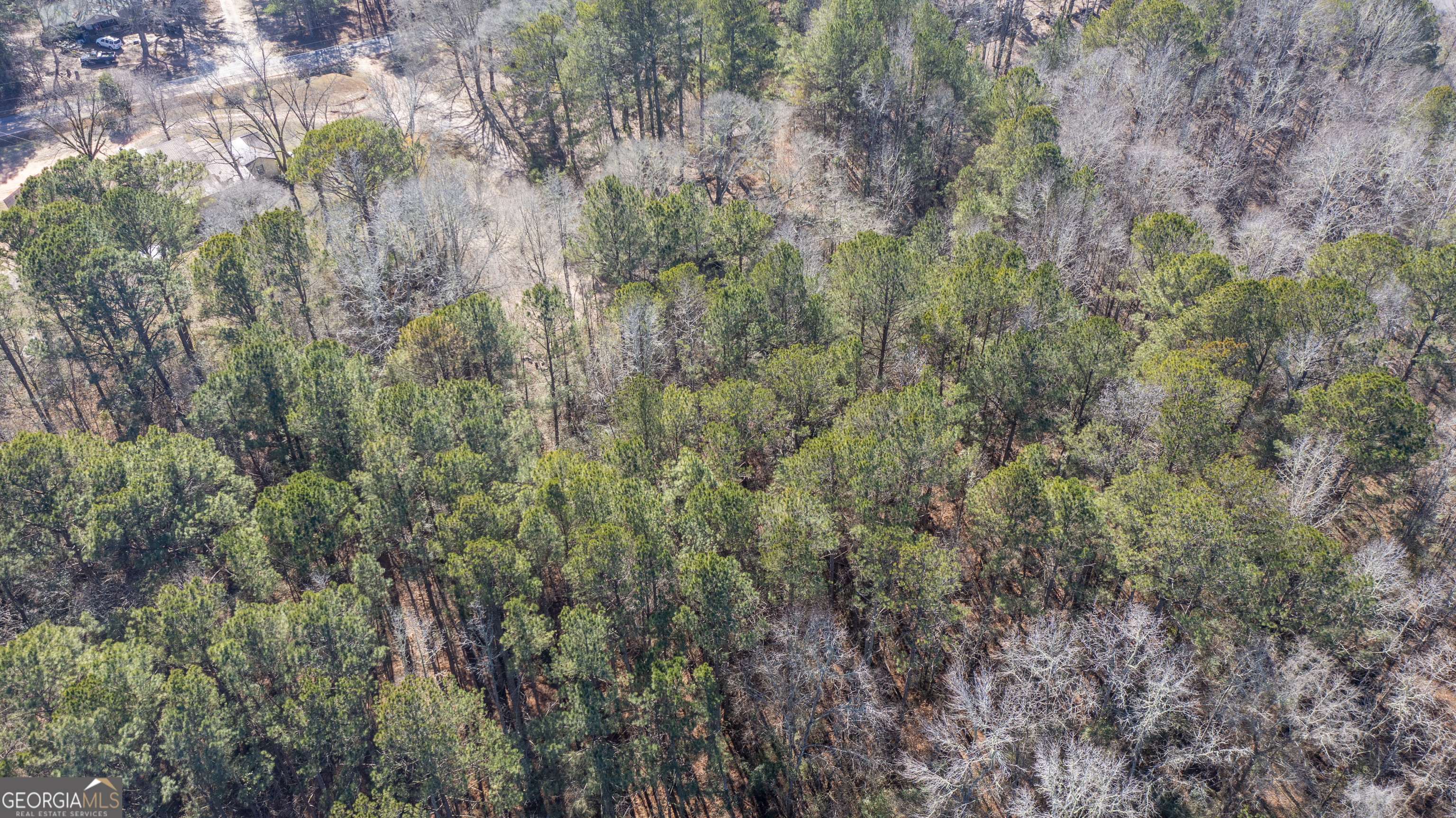 0 River Road Warm Springs, GA 31830 - Photo 17 of 21