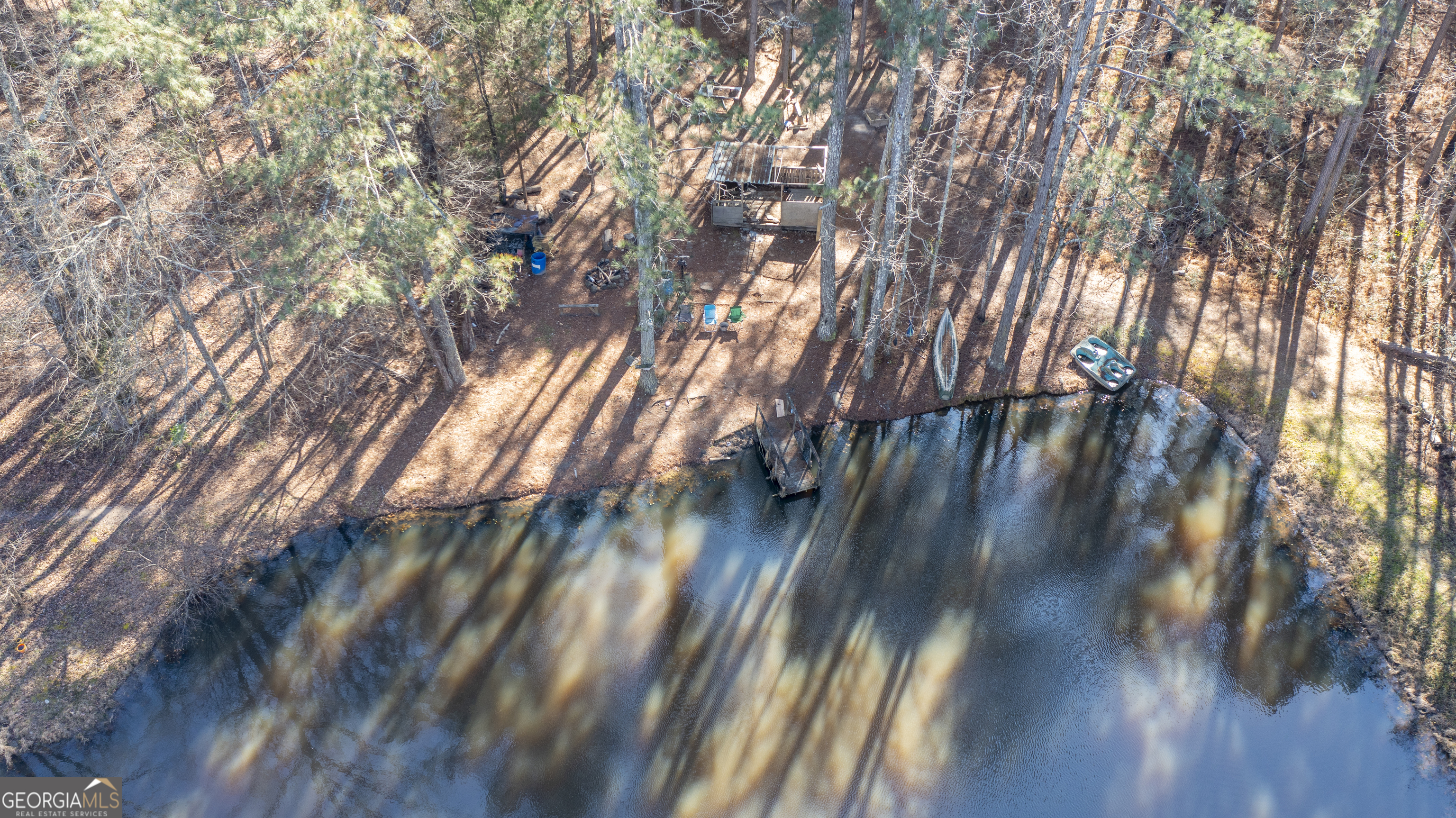 0 River Road Warm Springs, GA 31830 - Photo 18 of 21