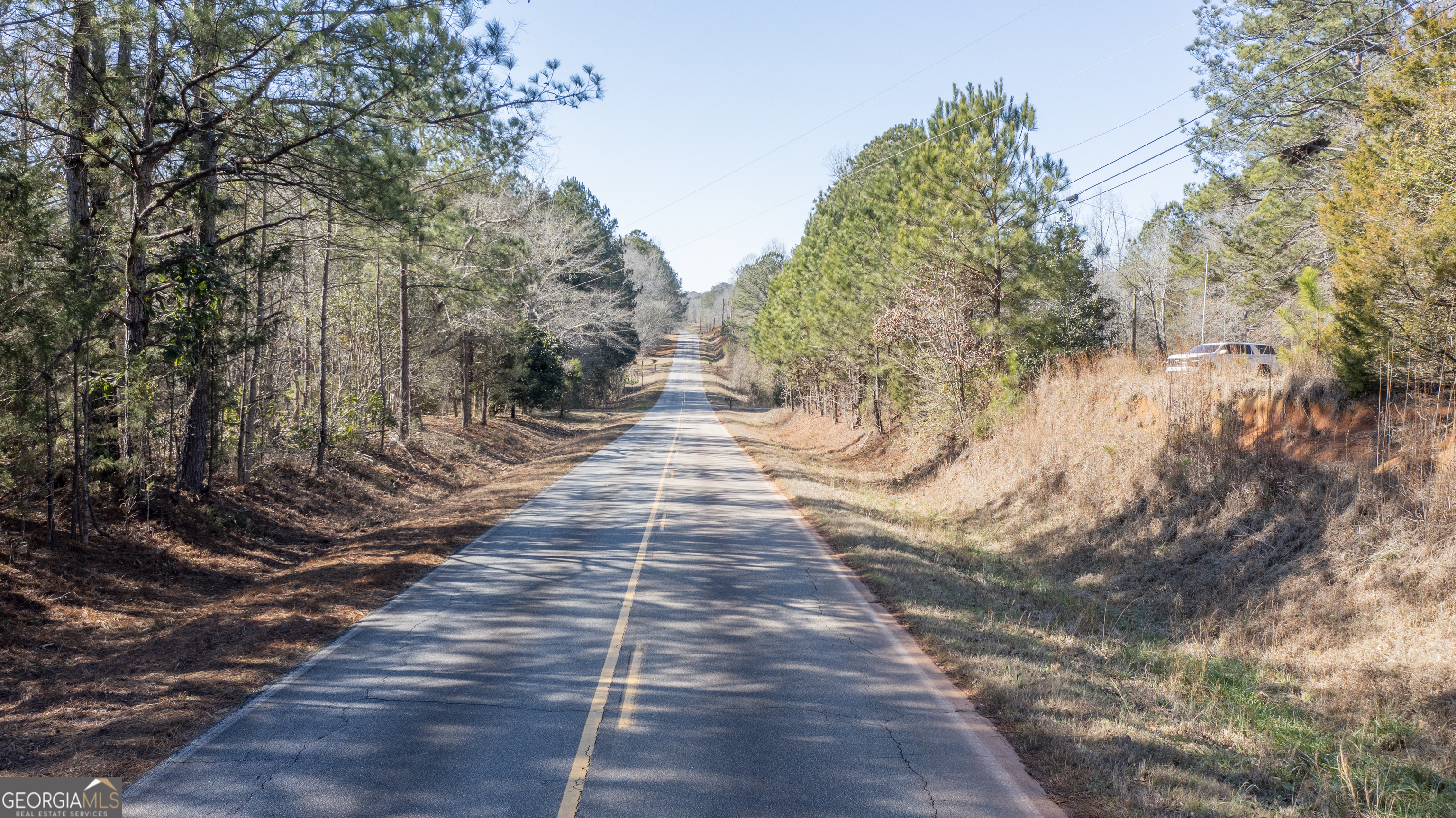 0 River Road Warm Springs, GA 31830 - Photo 20 of 21