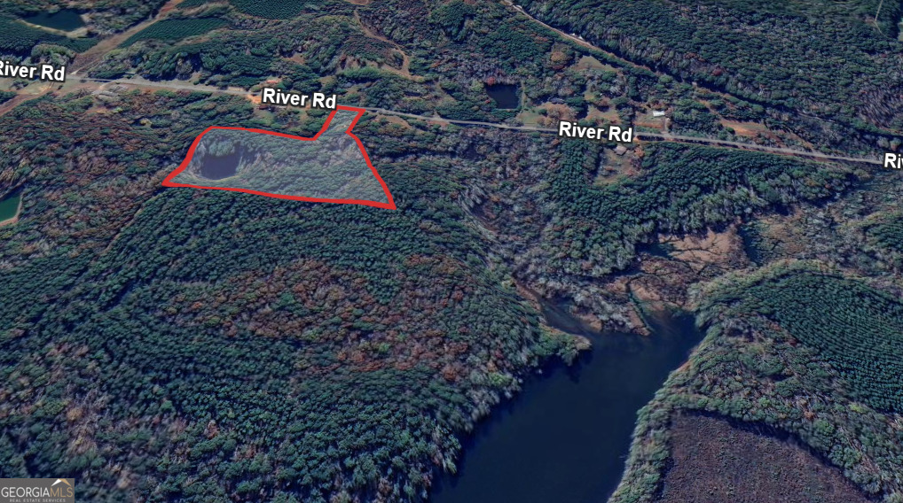 0 River Road Warm Springs, GA 31830 - Photo 4 of 21