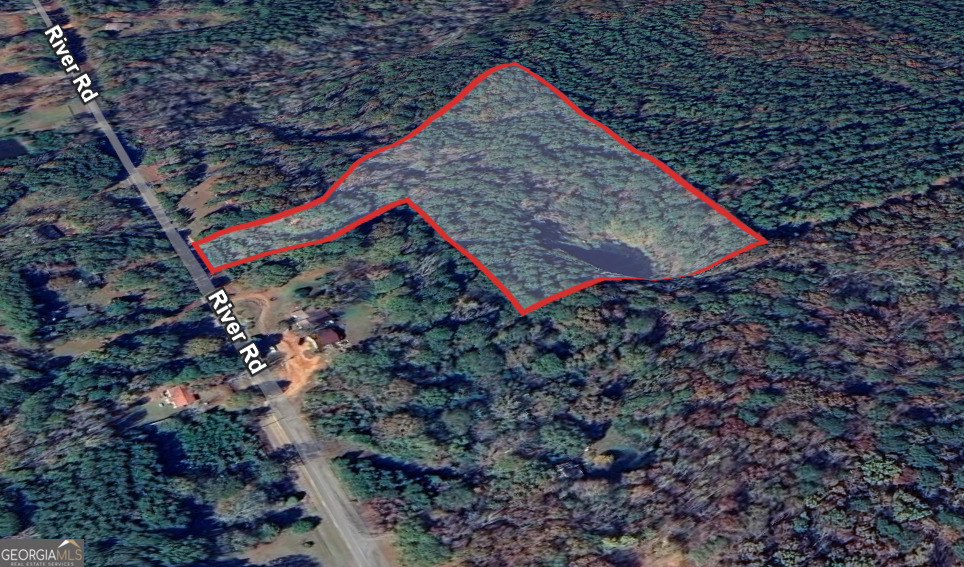 0 River Road Warm Springs, GA 31830 - Photo 6 of 21