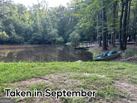 0 River Road Warm Springs, GA 31830 - Photo 8 of 21