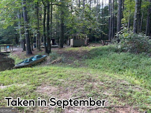 0 River Road Warm Springs, GA 31830 - Photo 9 of 21