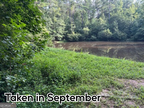 0 River Road Warm Springs, GA 31830 - Photo 10 of 21