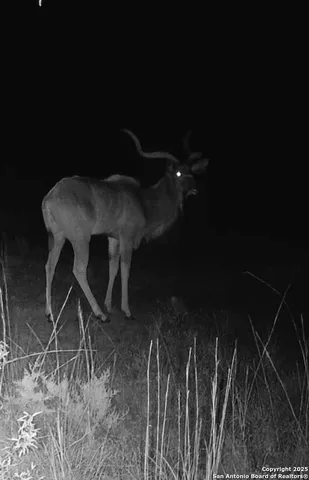 $599,500 | 106 Walden Ridge, Tarpley, TX 78883