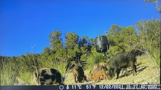 $599,500 | 106 Walden Ridge, Tarpley, TX 78883