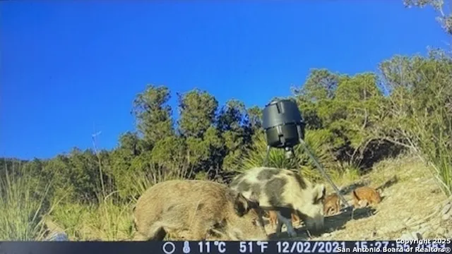 $599,500 | 106 Walden Ridge, Tarpley, TX 78883