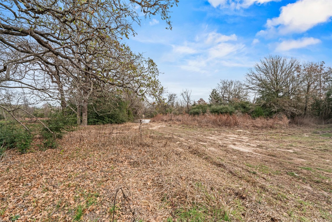11423 Highway 77 Lexington, TX 78947 - Photo 3 of 10 a view of a large yard with lots of green space