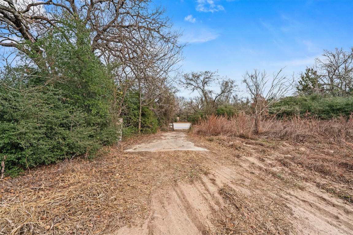 11423 Highway 77 Lexington, TX 78947 - Photo 5 of 10 a view of a yard with plants and trees