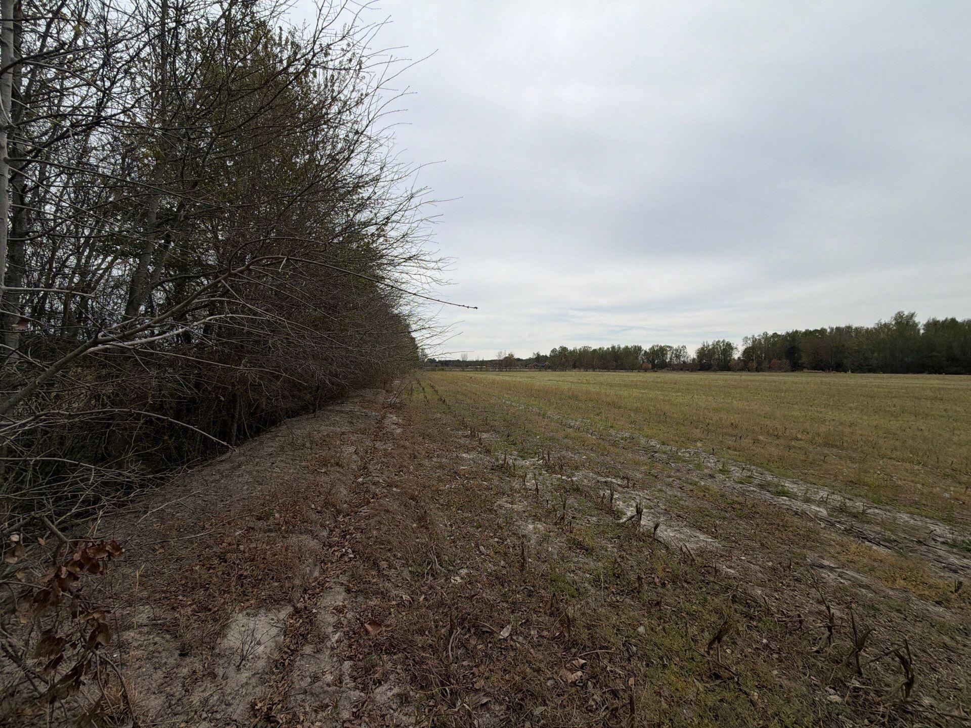 1 Judson Road, Unit MTA 1 Dillon, SC 29536 - Photo 27 of 28