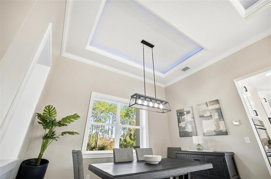 4289 Old Kings Road North Palm Coast, FL 32137 - Photo 37 of 98