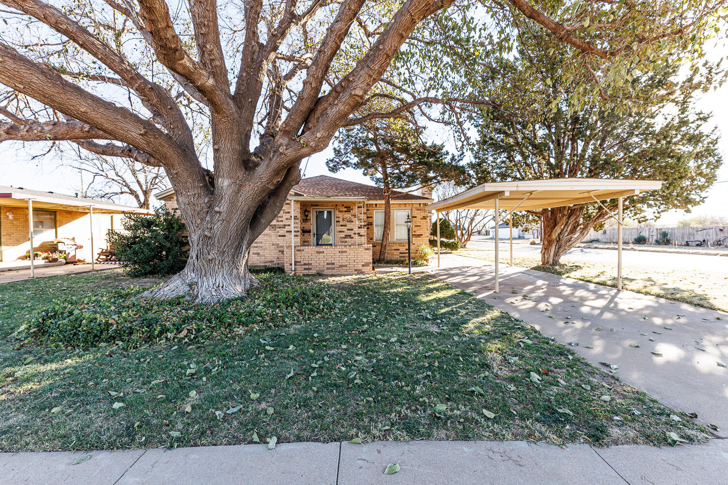 850 South 10th Street Slaton, TX 79364 - Photo 53 of 57 a view of a house with backyard and a tree