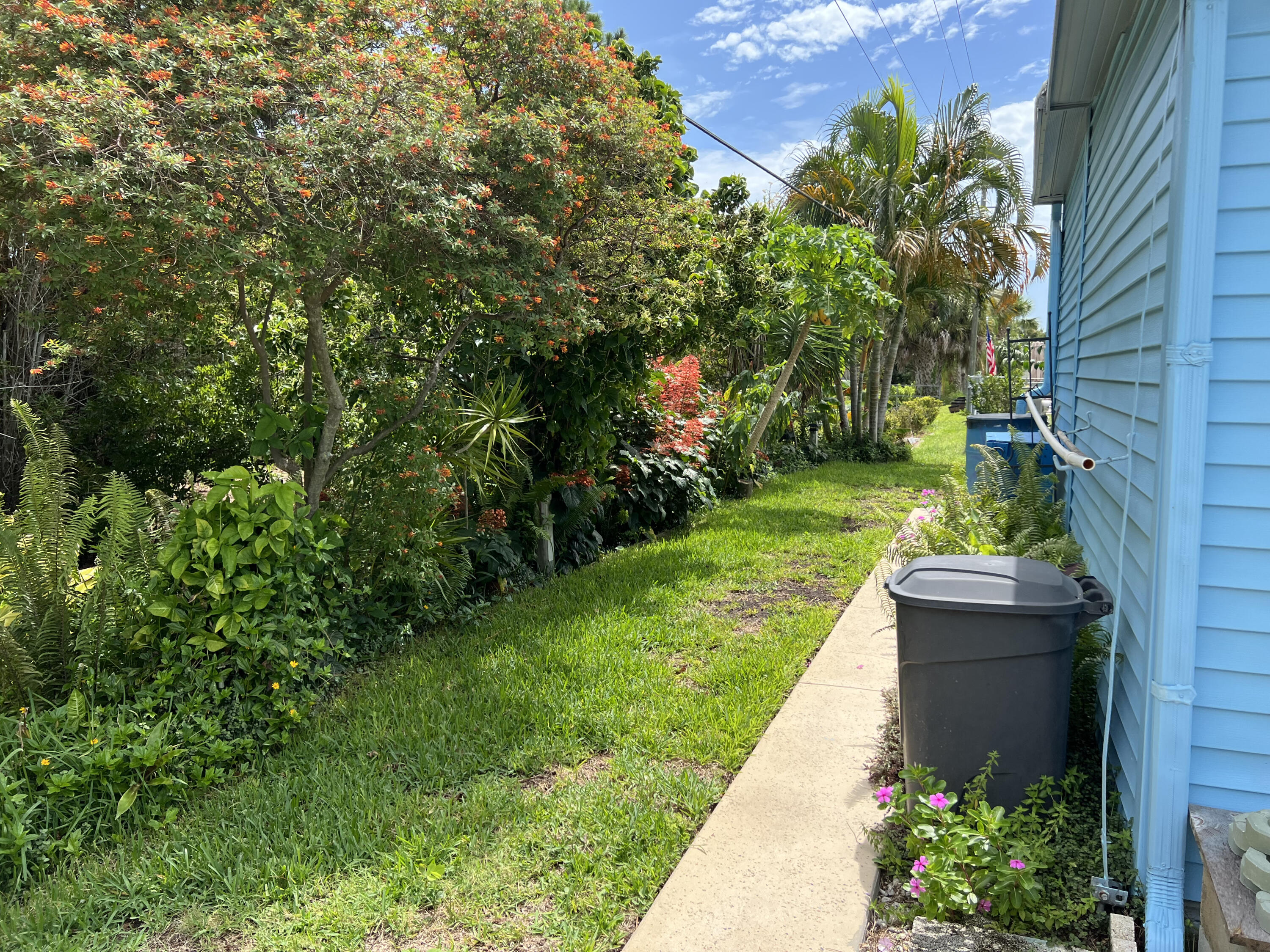 2315 Coconut Palm Drive Palm Bay, FL 32905 - Photo 26 of 27 IMG_6480