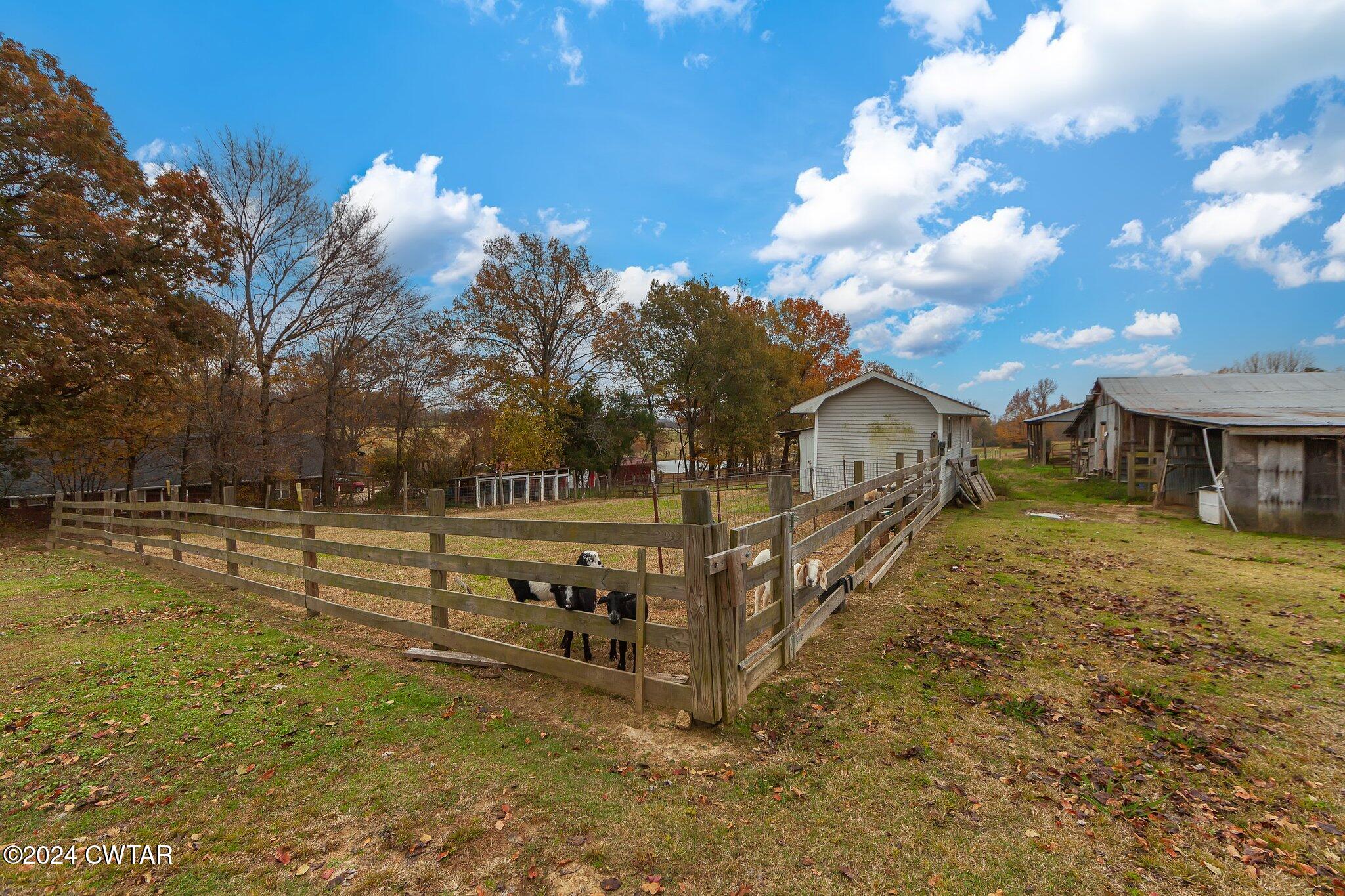 3765 Chestnut Bluff Mc Road Friendship, TN 38034 - Photo 9 of 36 35-web-or-mls-Completed-154