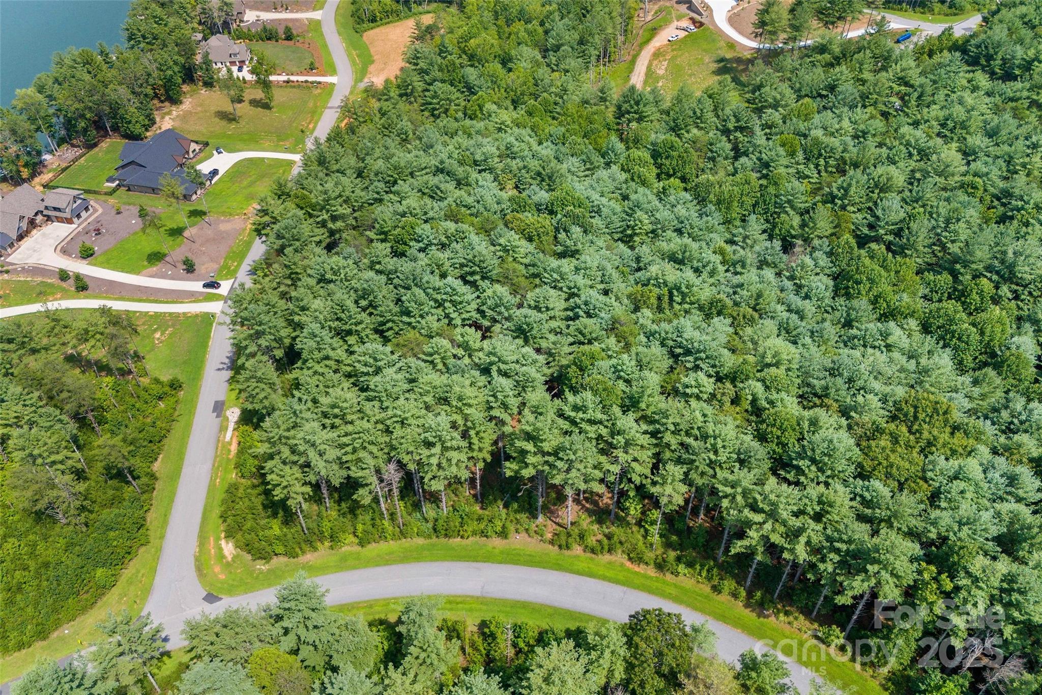 365 Peninsula Reserve Road, Unit 25 Nebo, NC 28761 - Photo 13 of 47 a view of a yard with plants