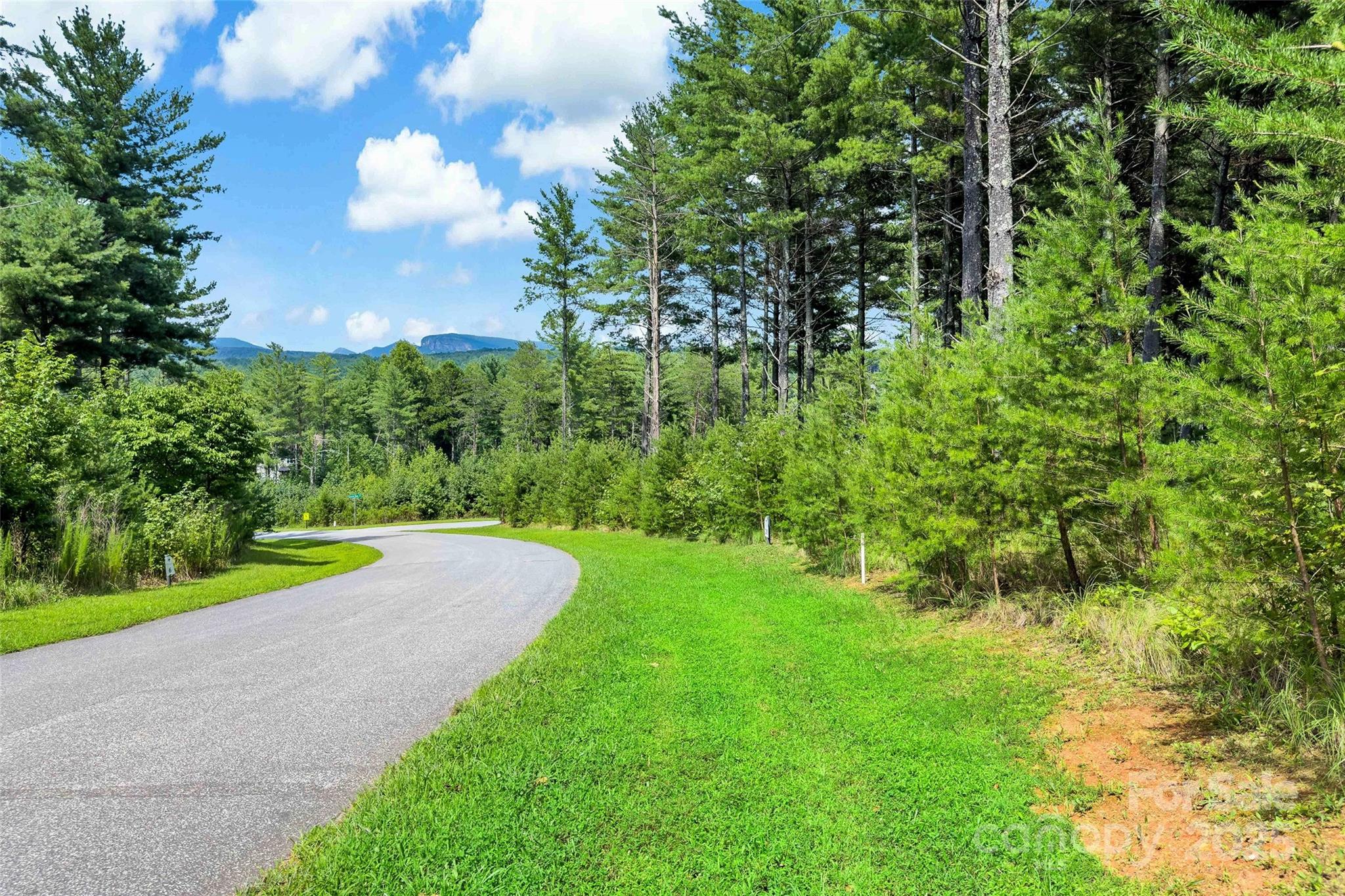 365 Peninsula Reserve Road, Unit 25 Nebo, NC 28761 - Photo 15 of 47 a view of a garden with a large trees