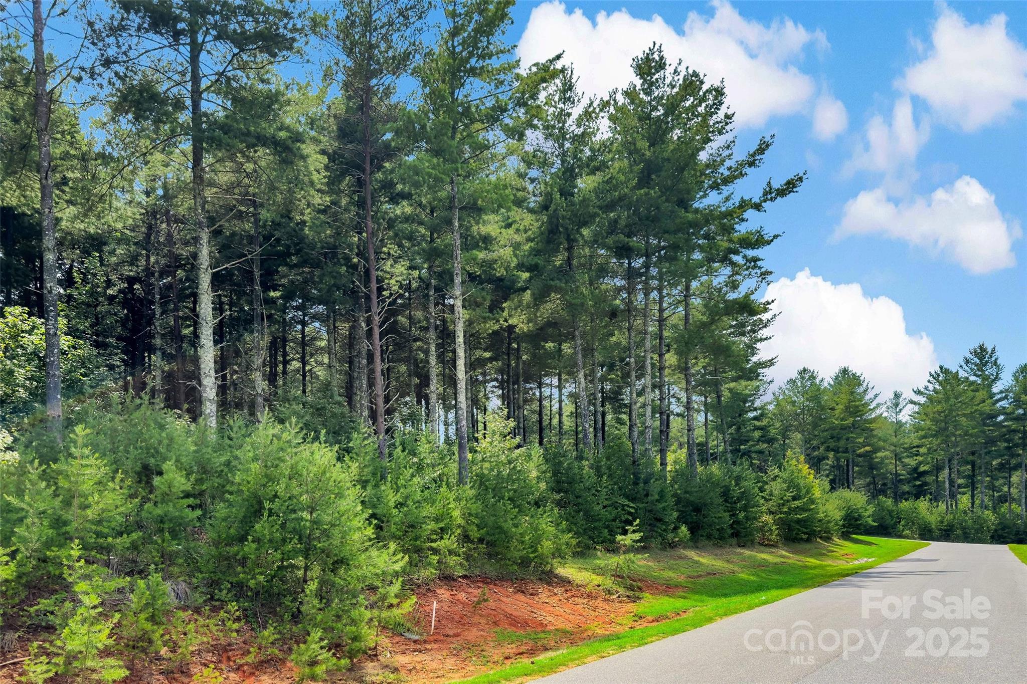 365 Peninsula Reserve Road, Unit 25 Nebo, NC 28761 - Photo 17 of 47 a view of a yard with a tree