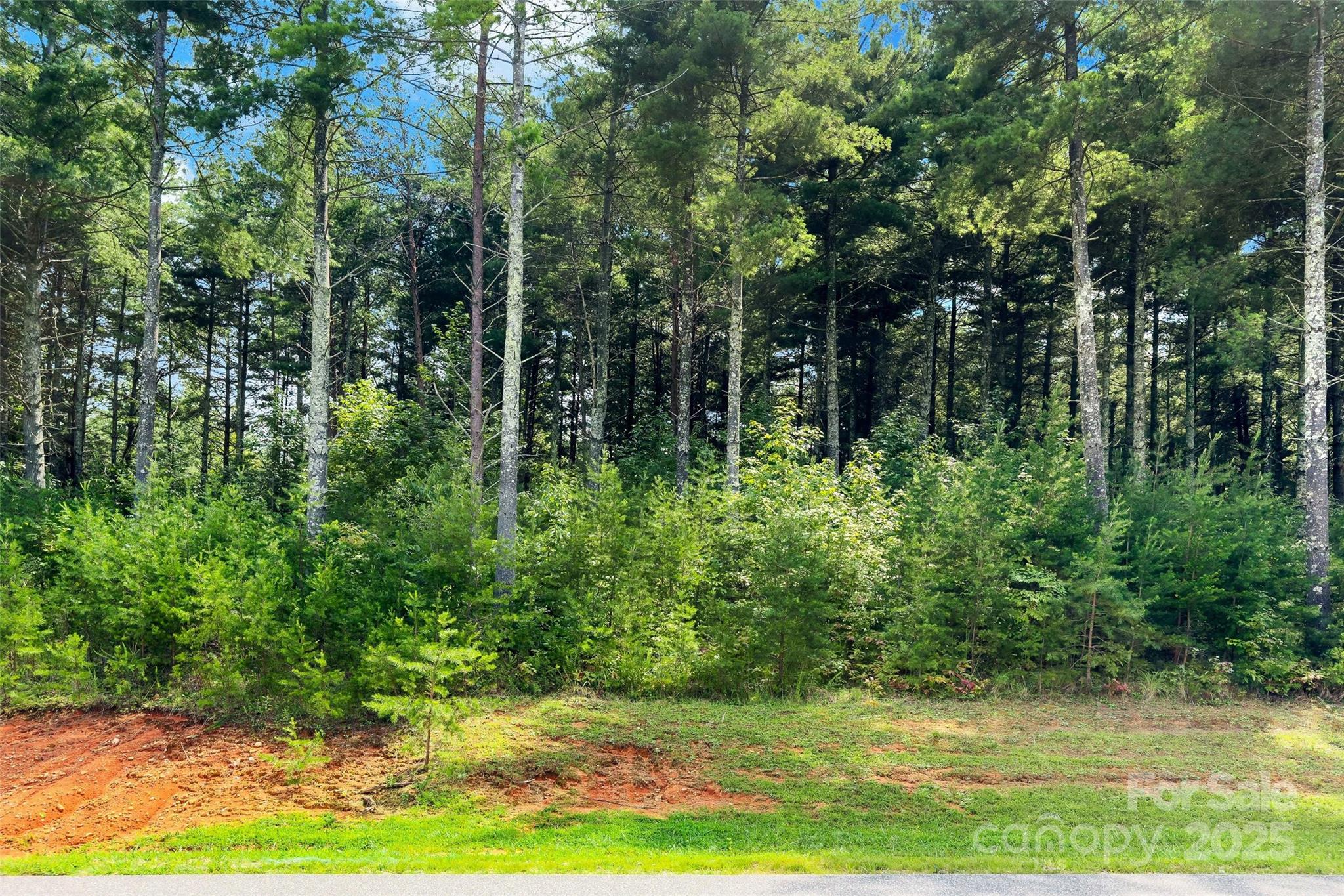 365 Peninsula Reserve Road, Unit 25 Nebo, NC 28761 - Photo 18 of 47 a view of backyard with green space