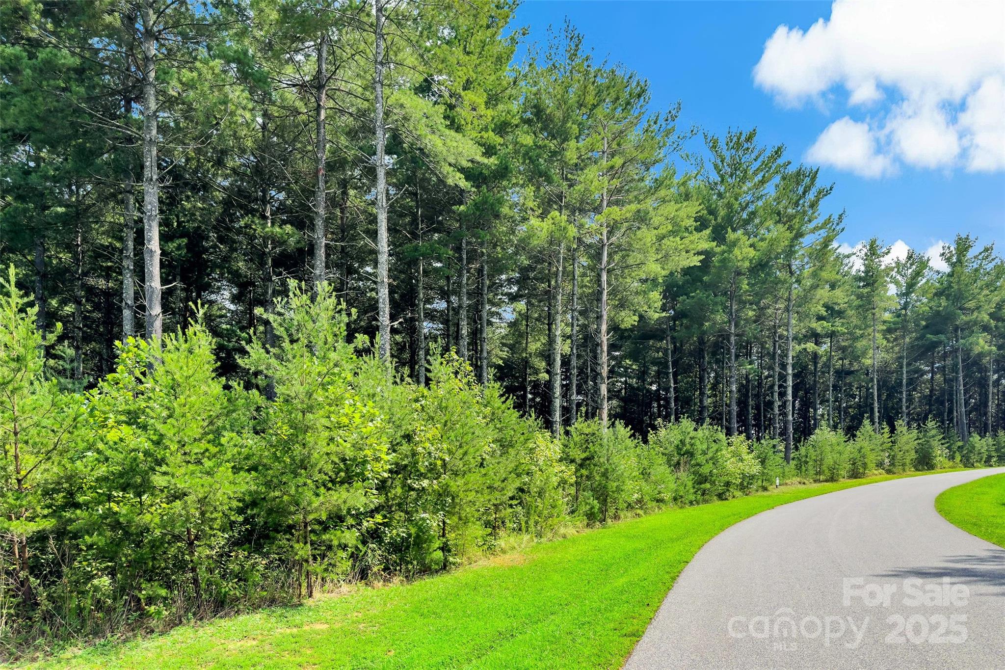365 Peninsula Reserve Road, Unit 25 Nebo, NC 28761 - Photo 20 of 47 a view of a garden with plants