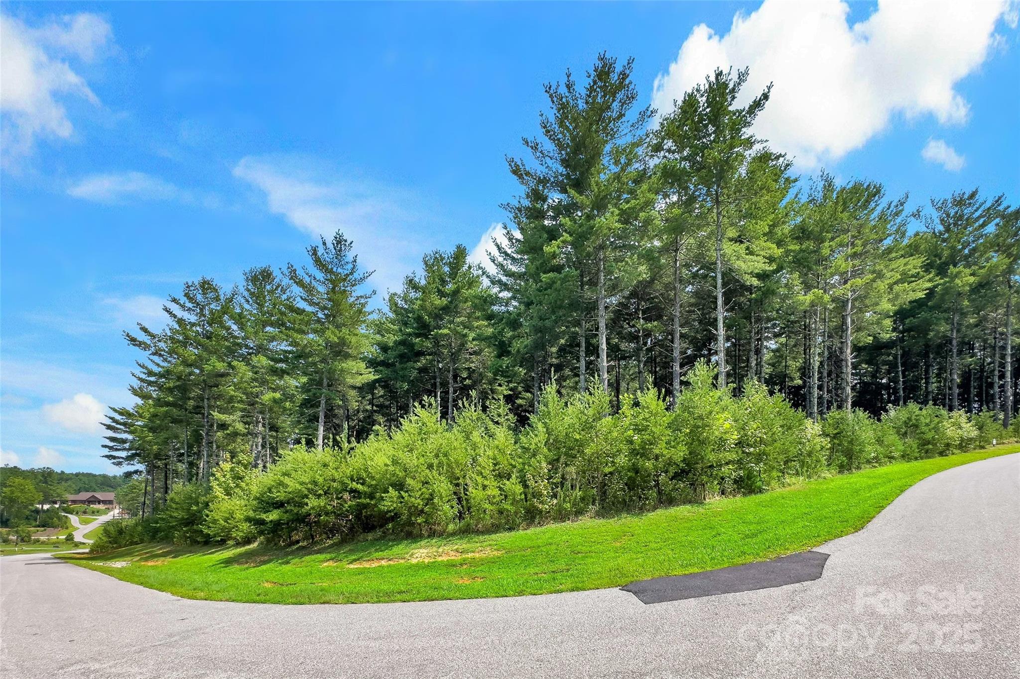 365 Peninsula Reserve Road, Unit 25 Nebo, NC 28761 - Photo 21 of 47 a view of a garden with a fountain