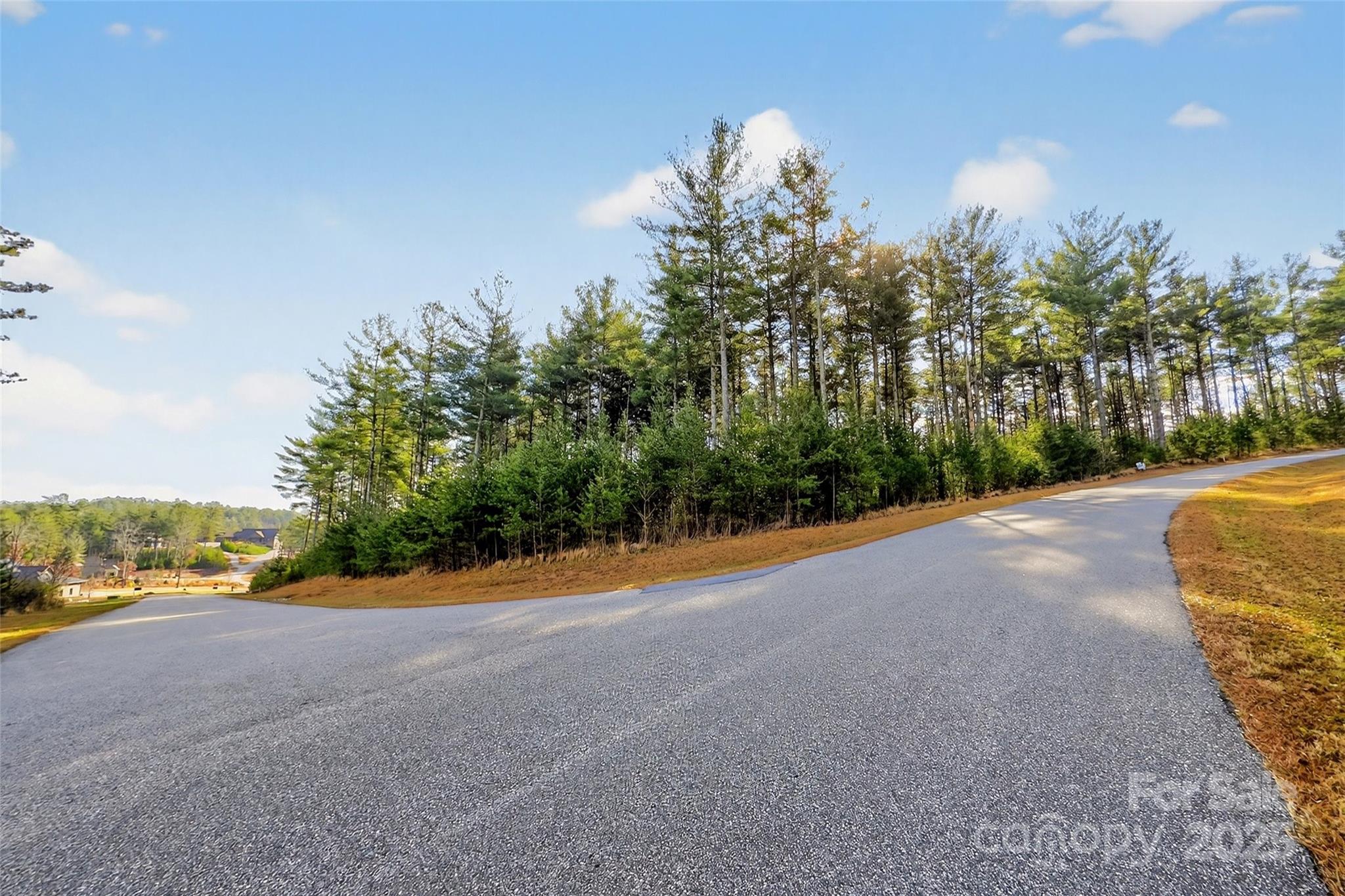 365 Peninsula Reserve Road, Unit 25 Nebo, NC 28761 - Photo 35 of 47 a view of a road with plants and trees in the background