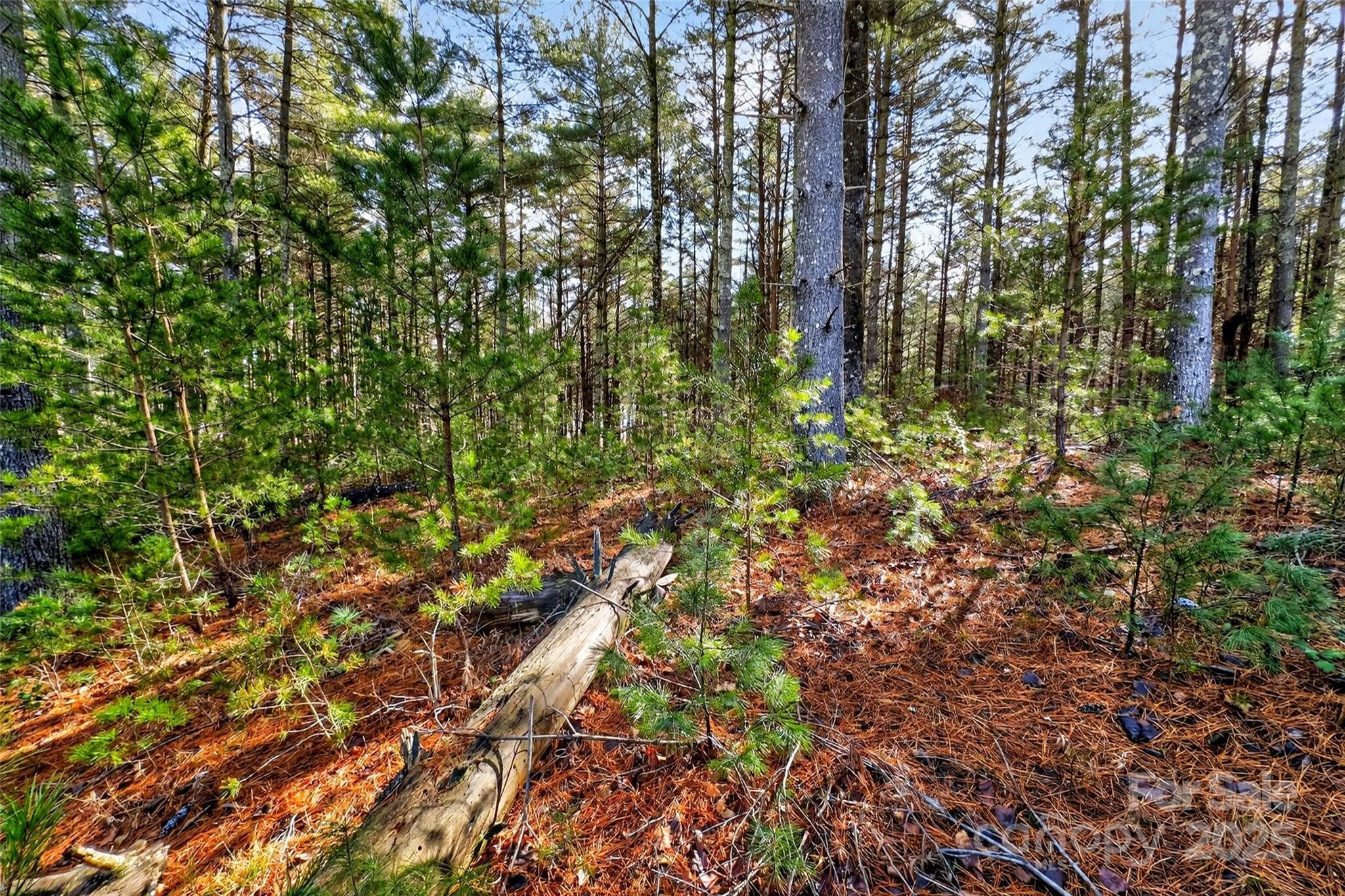 365 Peninsula Reserve Road, Unit 25 Nebo, NC 28761 - Photo 38 of 47 a backyard of a house with lots of green space