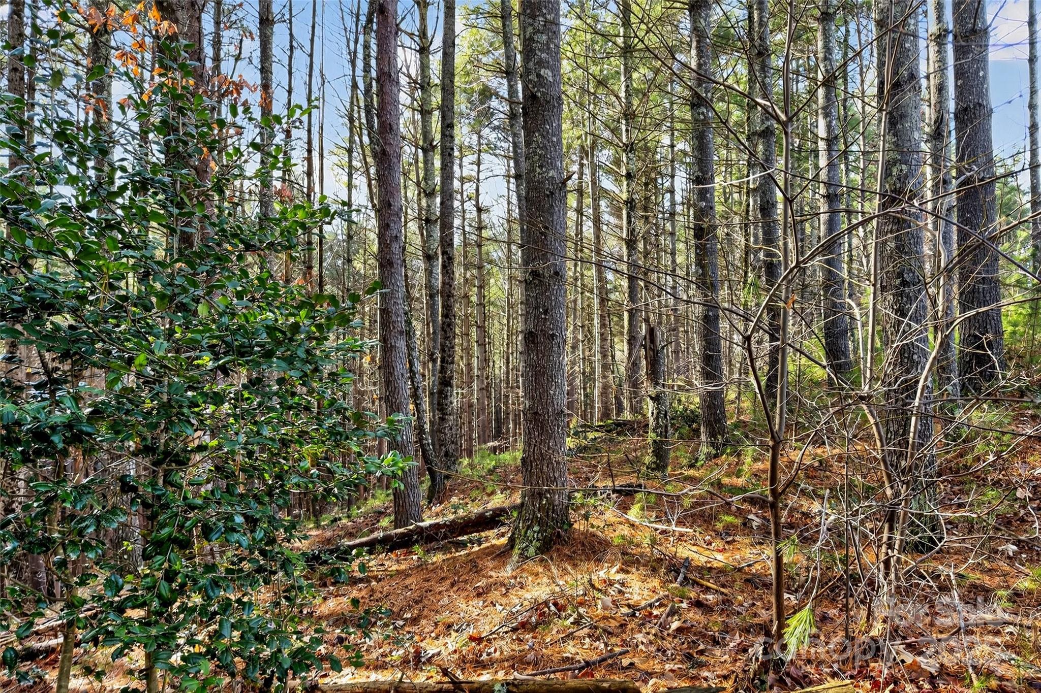 365 Peninsula Reserve Road, Unit 25 Nebo, NC 28761 - Photo 39 of 47 a view of outdoor space and garden