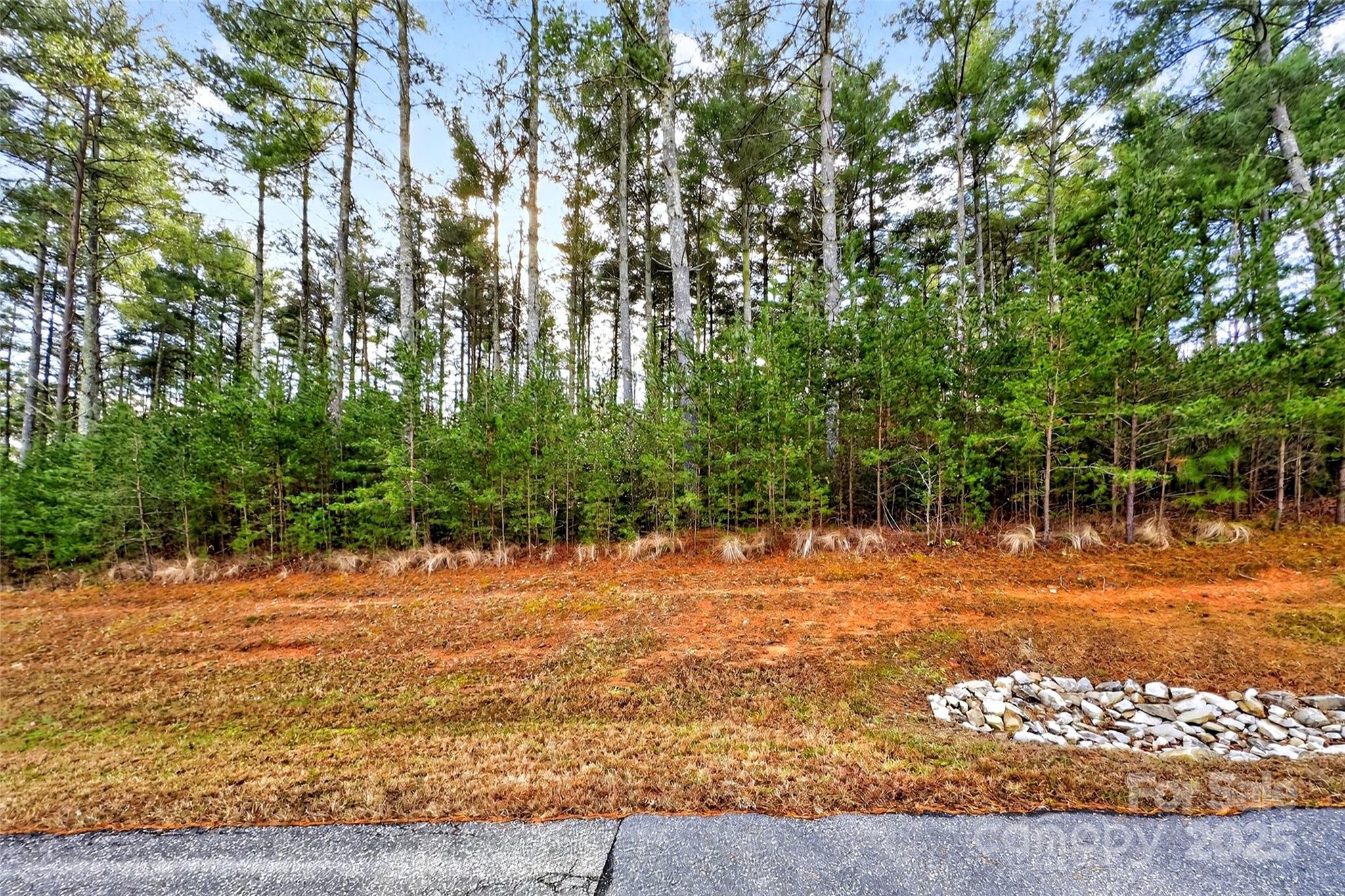 365 Peninsula Reserve Road, Unit 25 Nebo, NC 28761 - Photo 4 of 47 a backyard of a house with lots of green space