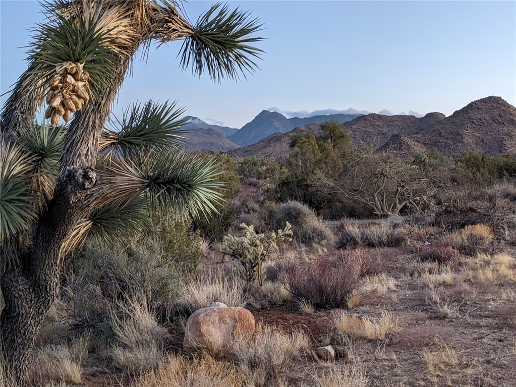 2624 South Gold Mine Road Yucca, AZ 86438 - Photo 12 of 15