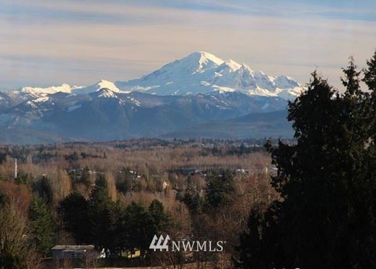2573 Mountain View Road Ferndale, WA 98248 - Photo 25 of 25