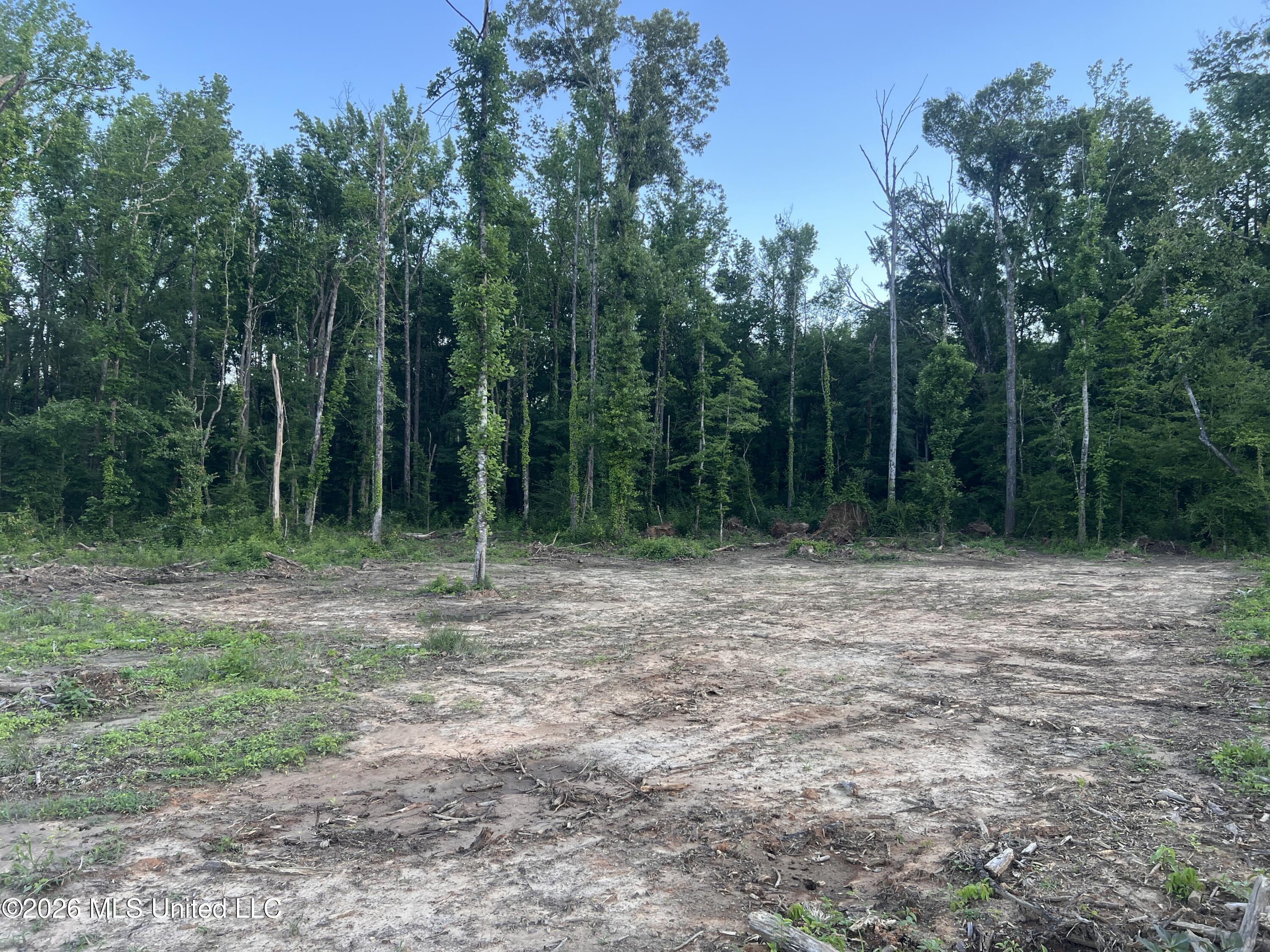 5734 Hebron Road Liberty, MS 39645 - Photo 6 of 32 6.