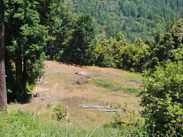 $85,000 | 245 Twin Trees Road, Garberville, CA 95542