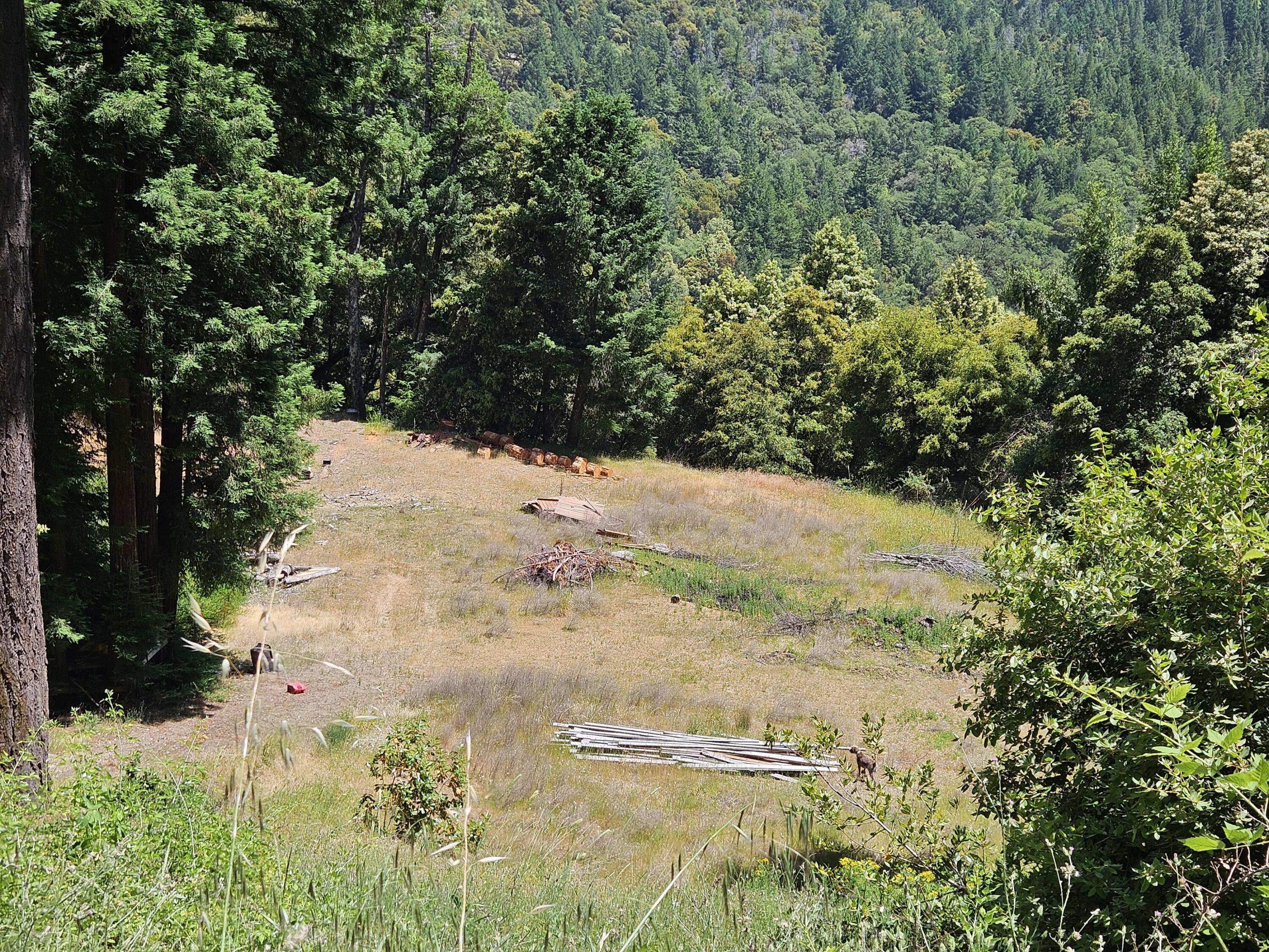 245 Twin Trees Road Garberville, CA 95542 - Photo 1 of 7