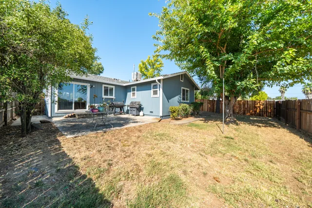 a view of a backyard with a tree