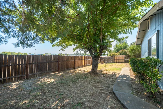 a view of a backyard with large trees and wooden fence