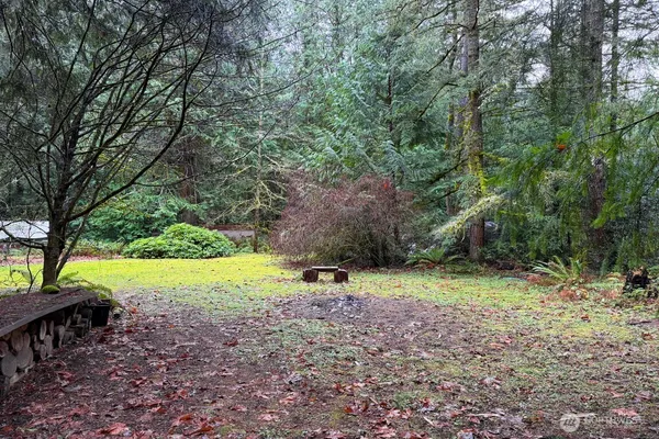 a view of outdoor space with large trees and trees